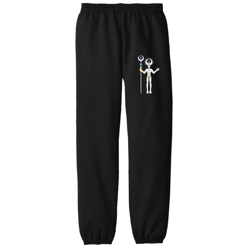 9D SOL Youth Fleece Pants