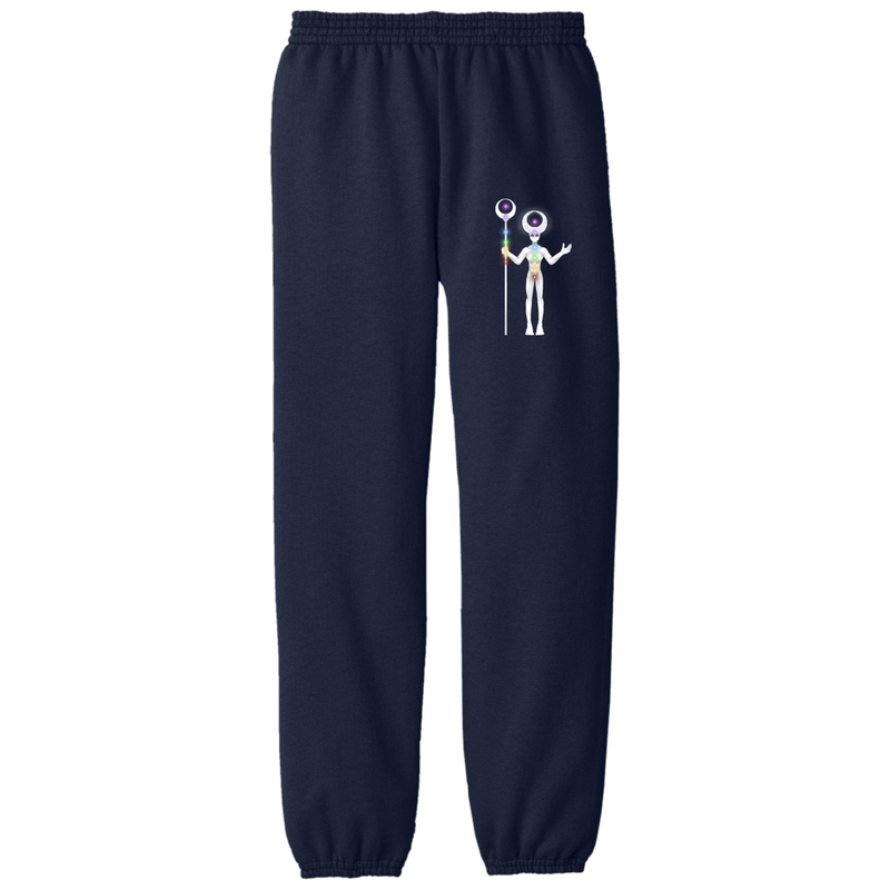 9D SOL Youth Fleece Pants